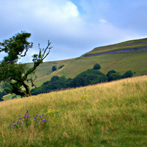 Finding Land to Build a Cabin in the UK Finding Land to Build a Cabin in the UK