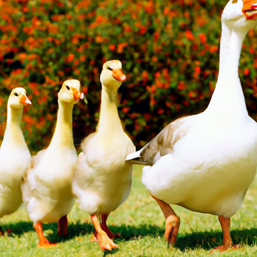 Top Animal Choices for Small Farms