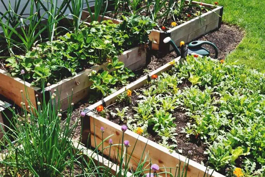 A Guide To Ensuring Proper Drainage In Raised Garden Beds - Offgridharmony