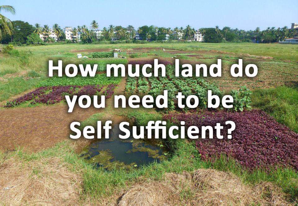Achieving Self-Sufficiency: How Much Do You Really Need? Achieving Self-Sufficiency: How Much Do You Really Need?