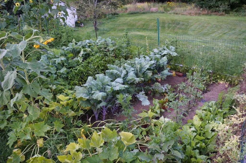 Advantages of Traditional Gardening Methods