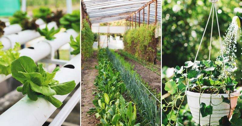 Advantages of Traditional Gardening Methods