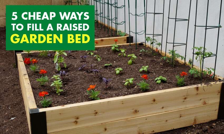 Affordable Techniques for Filling a Raised Bed Affordable Techniques for Filling a Raised Bed