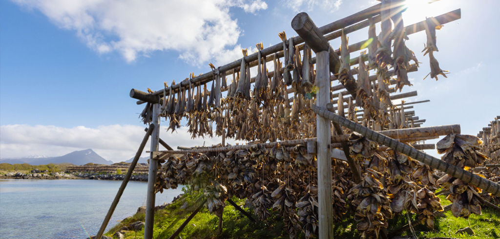 Ancient Food Storage Techniques