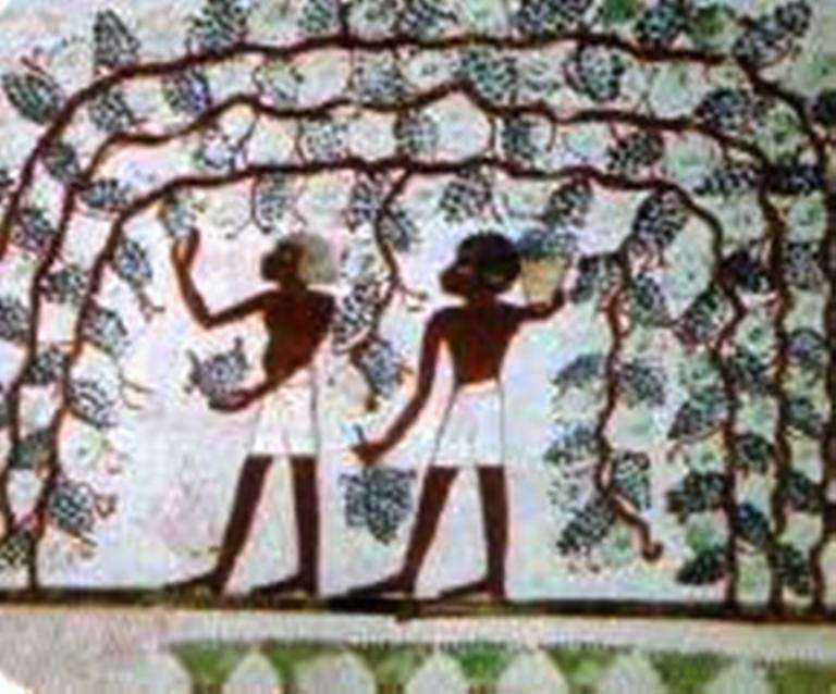 Ancient Food Storage Techniques