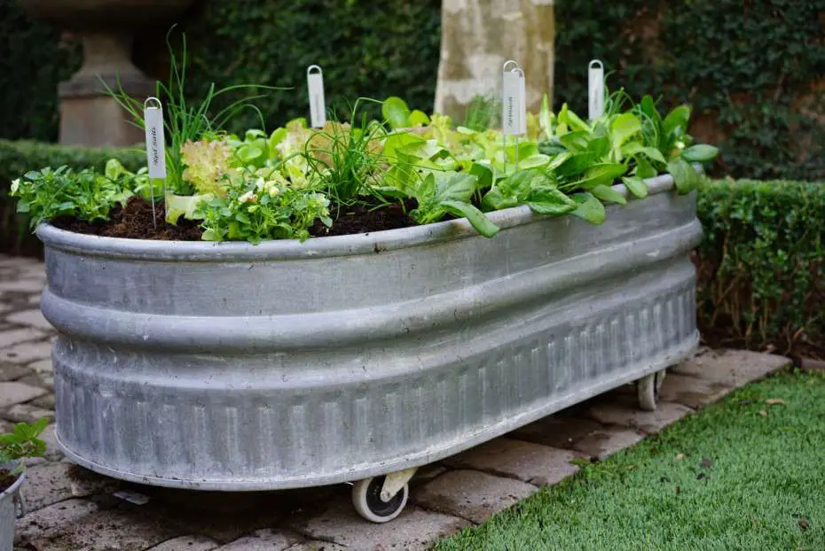 are-metal-raised-beds-safe-for-gardening-offgridharmony