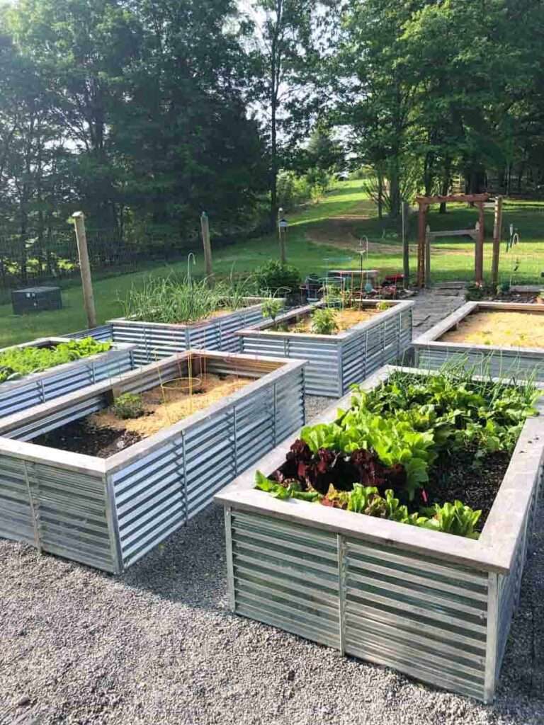 Are metal raised beds safe for gardening? Are metal raised beds safe for gardening?