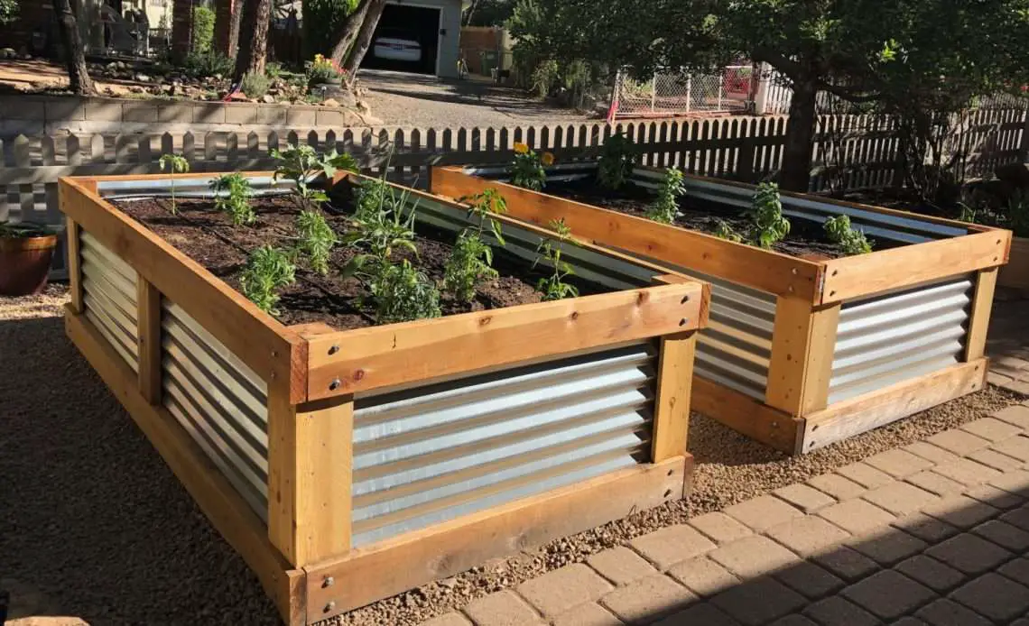 Are metal raised beds safe for gardening? - OffGridHarmony