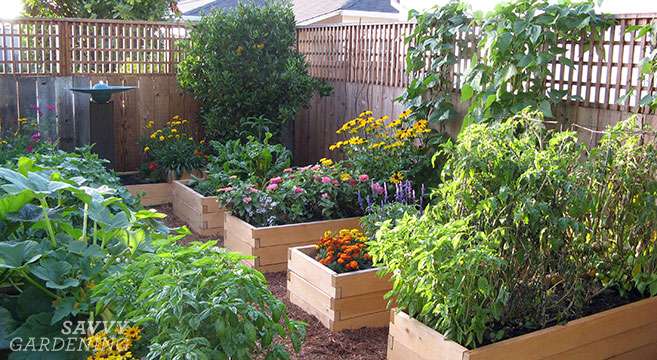 Are raised beds beneficial for plant growth? Are raised beds beneficial for plant growth?
