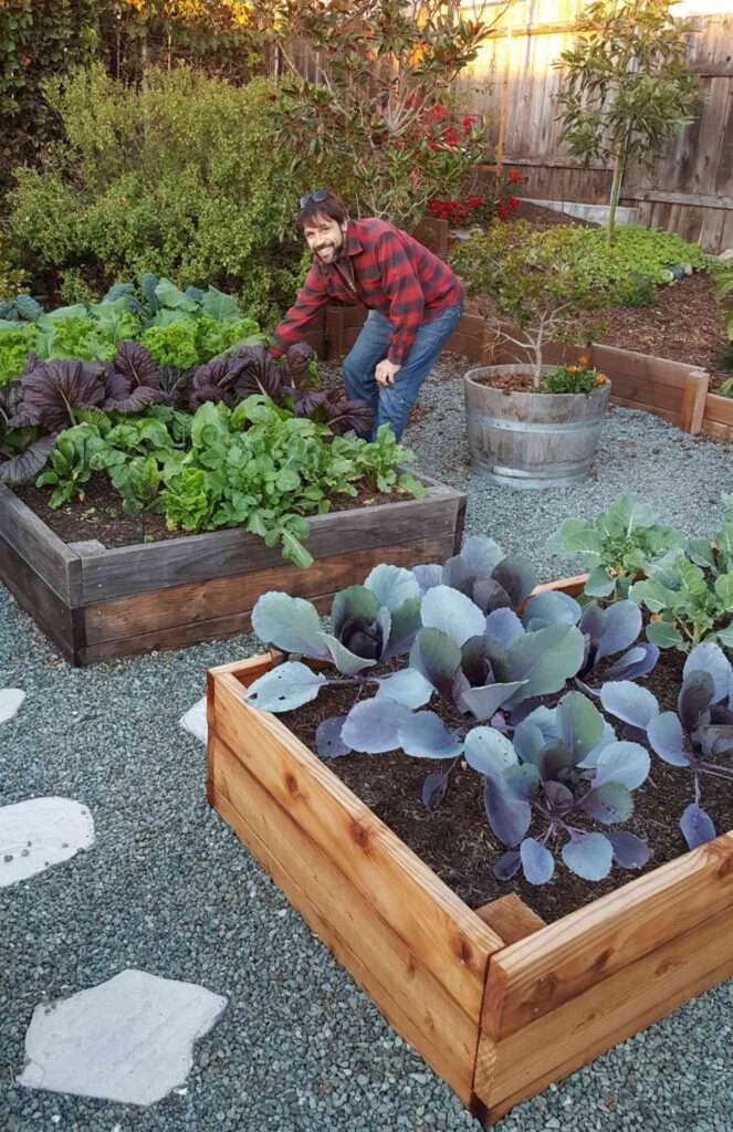 Are Raised Beds Healthier for Gardening?
