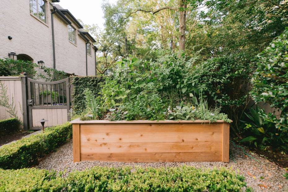 Are Raised Beds Healthier for Gardening?