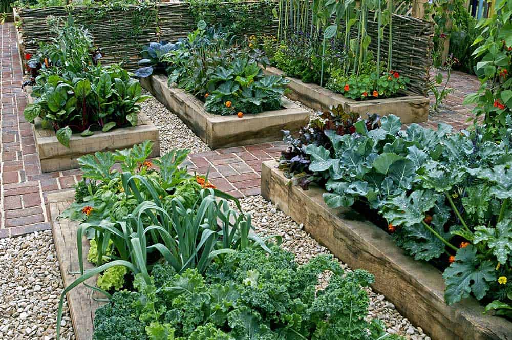 Are raised garden beds better for off grid living?