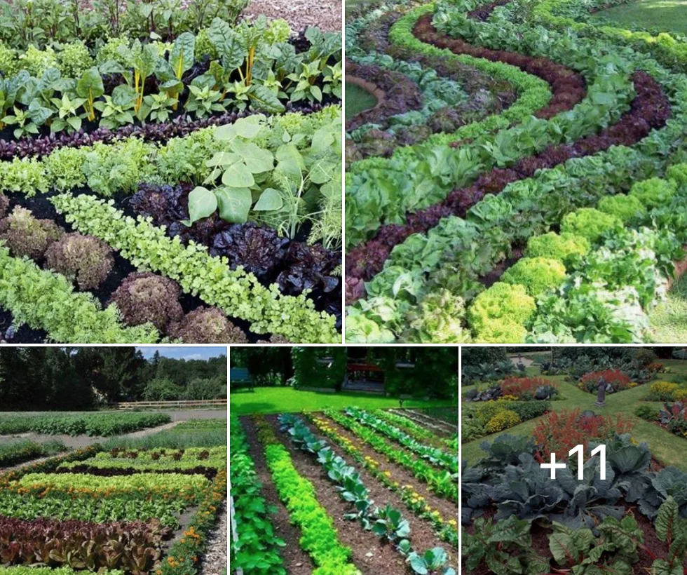 Are raised garden beds better for off grid living?
