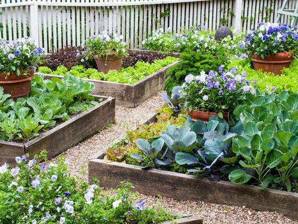 Are raised garden beds safe for growing vegetables?