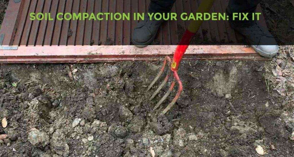 Benefits of Compacting Soil in a Raised Bed Benefits of Compacting Soil in a Raised Bed
