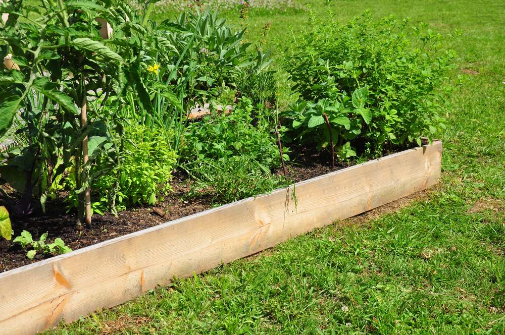 Benefits of Compacting Soil in a Raised Bed Benefits of Compacting Soil in a Raised Bed