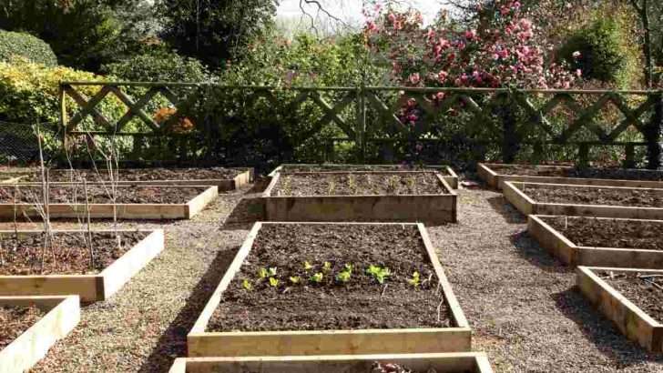 Benefits of Compacting Soil in a Raised Bed Benefits of Compacting Soil in a Raised Bed