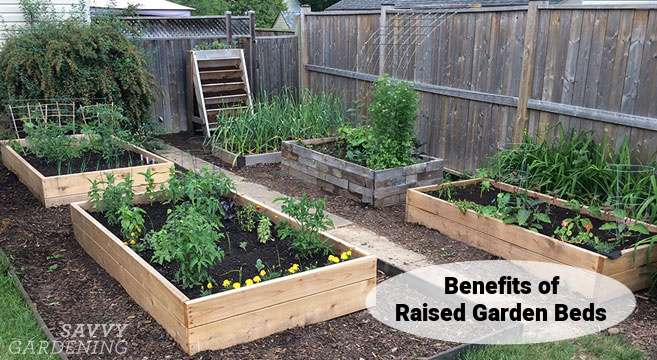 Benefits of Using Compost in Raised Bed Gardening