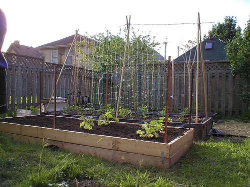 Benefits of Using Compost in Raised Bed Gardening