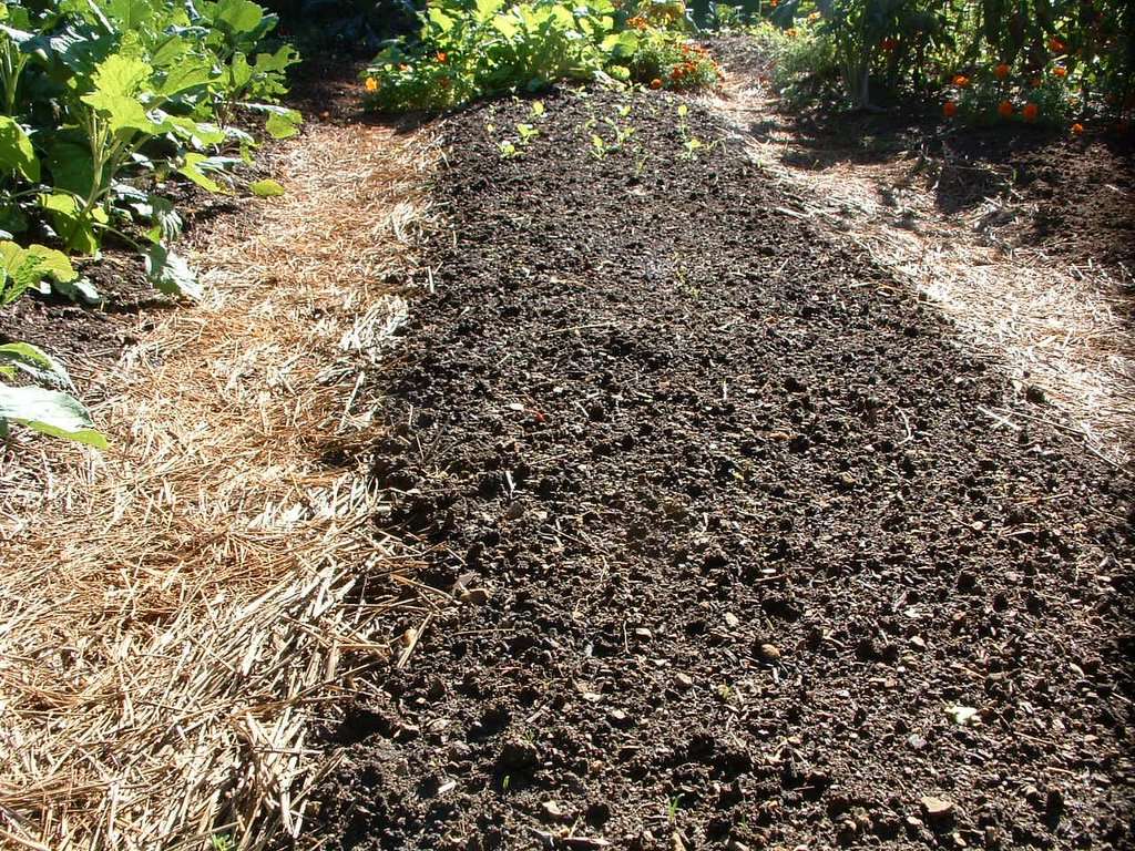 Building Raised Beds Without Walls