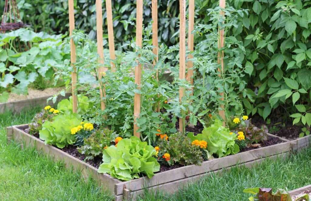Can I Plant Flowers Next to Vegetables? Can I Plant Flowers Next to Vegetables?