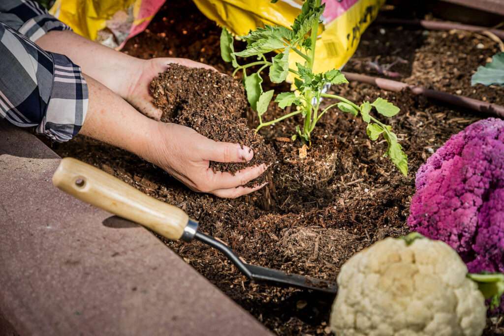 Can potting soil be used for raised beds? Can potting soil be used for raised beds?