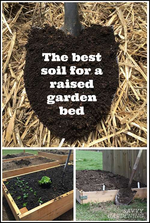 Can potting soil be used for raised beds? Can potting soil be used for raised beds?