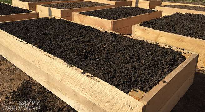 Can potting soil be used for raised beds? Can potting soil be used for raised beds?