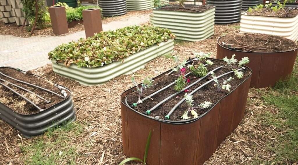 Can Raised Garden Beds Get Too Hot? Can Raised Garden Beds Get Too Hot?