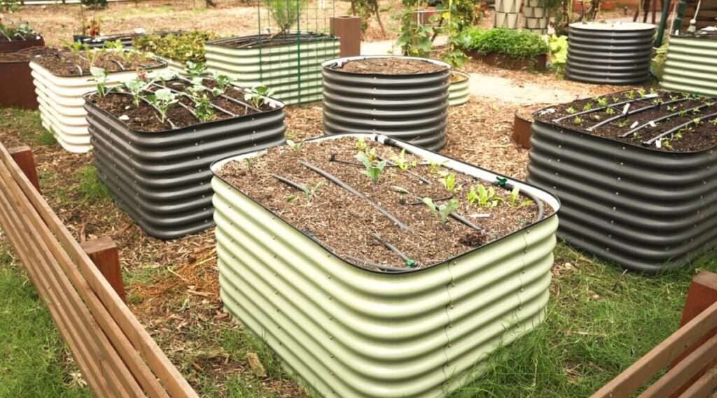 Can Raised Garden Beds Get Too Hot? Can Raised Garden Beds Get Too Hot?