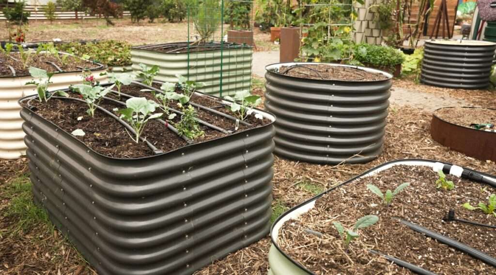 Can Raised Garden Beds Get Too Hot? Can Raised Garden Beds Get Too Hot?