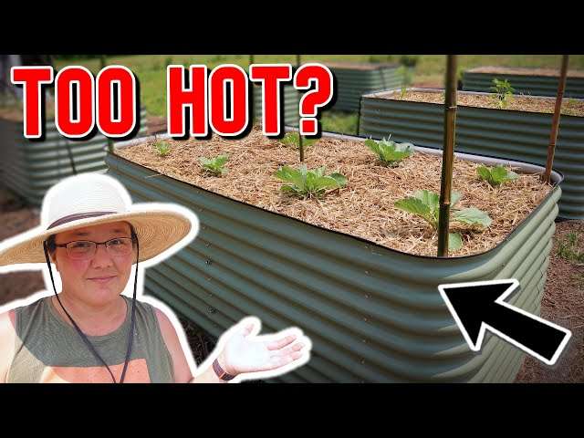 Can Raised Garden Beds Get Too Hot? Can Raised Garden Beds Get Too Hot?