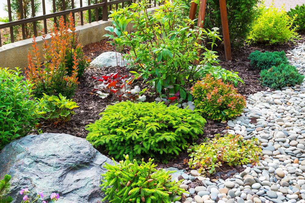 Choosing between Rocks or Mulch for Raised Bed Gardens Choosing between Rocks or Mulch for Raised Bed Gardens
