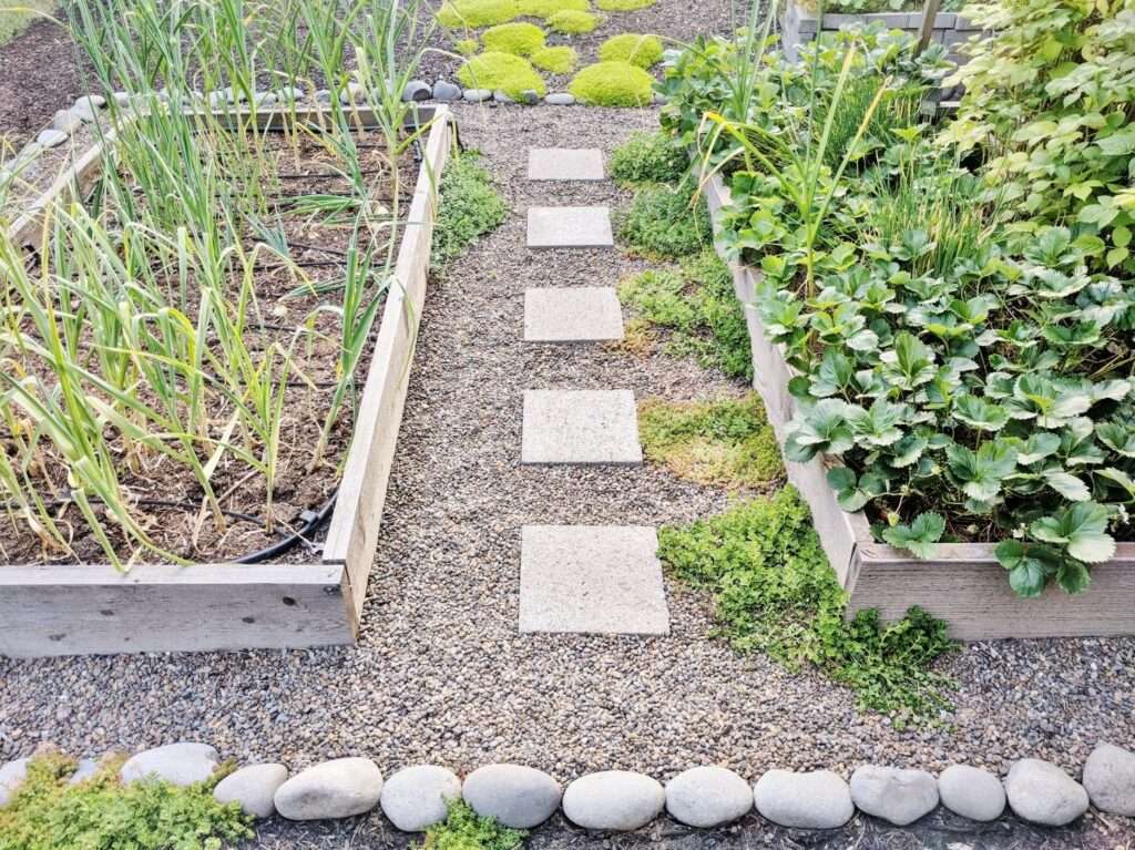 Choosing between Rocks or Mulch for Raised Bed Gardens Choosing between Rocks or Mulch for Raised Bed Gardens