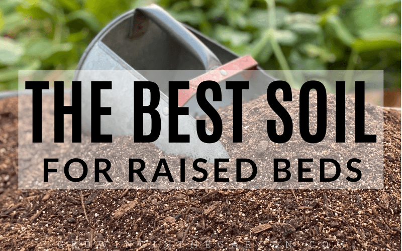 Choosing the Right Soil for Raised Bed Gardening Choosing the Right Soil for Raised Bed Gardening
