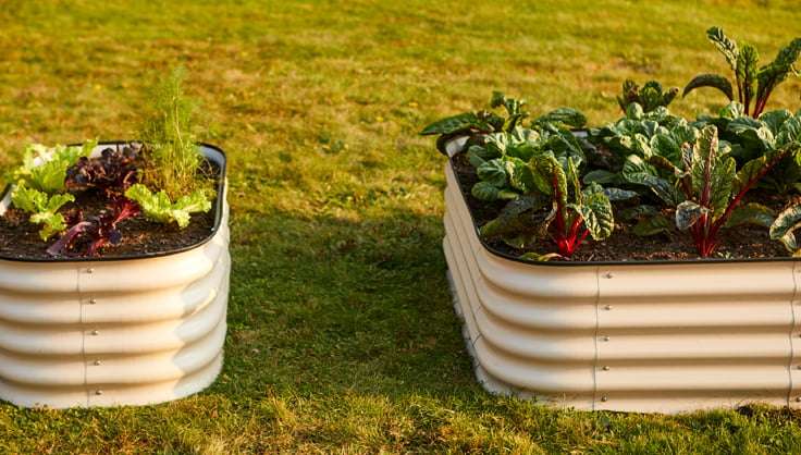Choosing the Safest Material for Raised Garden Beds Choosing the Safest Material for Raised Garden Beds