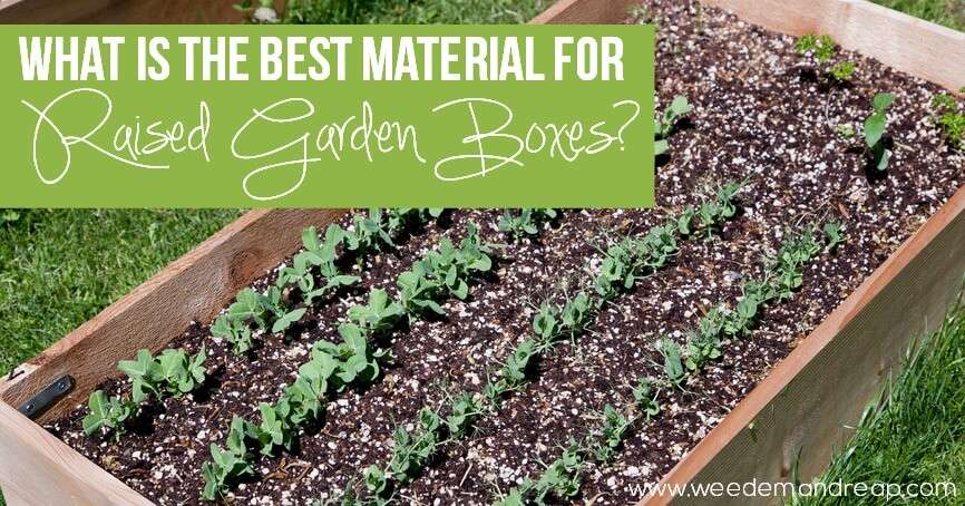 Choosing the Safest Material for Raised Garden Beds Choosing the Safest Material for Raised Garden Beds