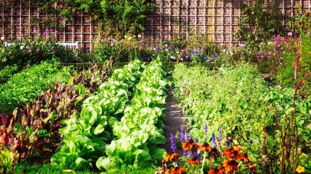 Companion Planting: Maximizing Your Vegetable Gardens Growth Potential
