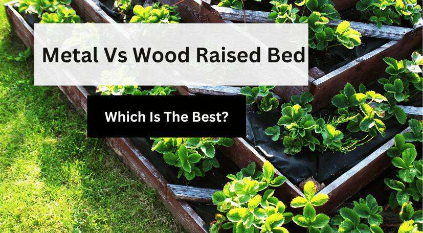 Comparing the Benefits: Metal Vs. Wood Raised Garden Beds