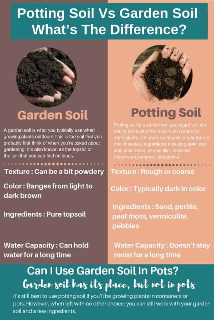 Comparison: Raised Bed Soil vs Potting Soil Comparison: Raised Bed Soil vs Potting Soil