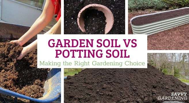 Comparison: Raised Bed Soil vs Potting Soil Comparison: Raised Bed Soil vs Potting Soil