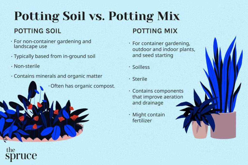 Comparison Raised Bed Soil vs Potting Soil OffGridHarmony