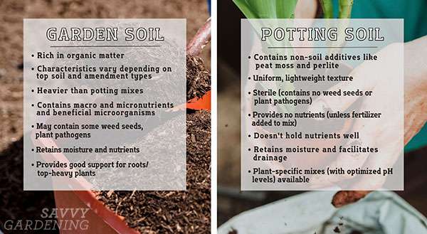 Comparison: Raised Bed Soil vs Potting Soil Comparison: Raised Bed Soil vs Potting Soil
