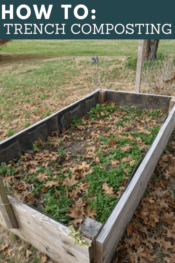 Compost-based Gardening in Raised Beds