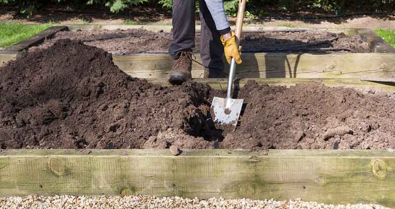 Creating a Bountiful Garden Using Raised Bed Compost Alone