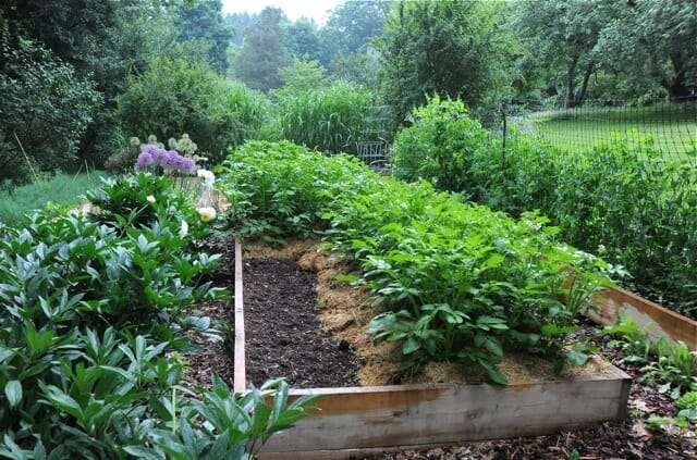 Creating a Bountiful Garden Using Raised Bed Compost Alone