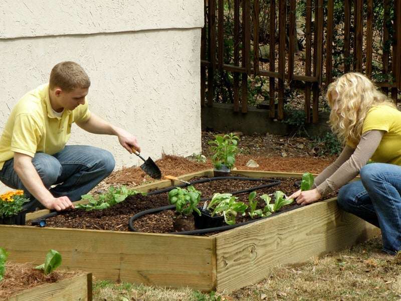 Creating a Bountiful Garden Using Raised Bed Compost Alone