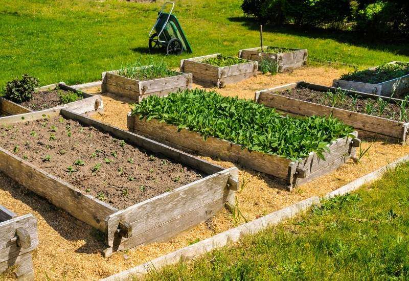 Do raised beds need a floor? Do raised beds need a floor?