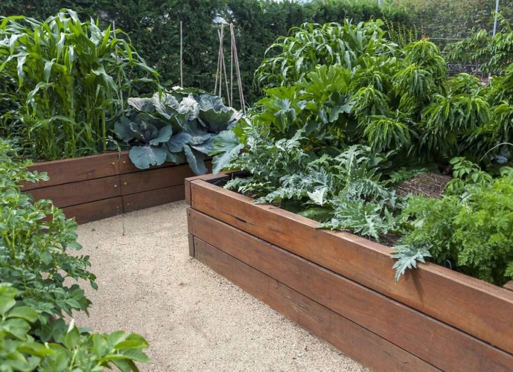 Do raised beds need a floor? Do raised beds need a floor?