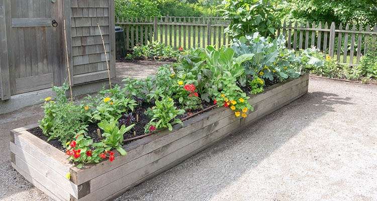 Do raised beds need a liner?